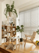 能够将阳台设想成一个小型花