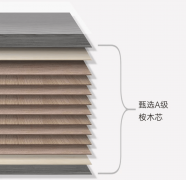 焦点劣势：做为先实现HENF级精板大规模量