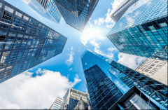 <strong>具有对稀缺资本的间接掌控</strong>